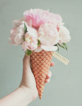 Flower Icecream Flower Icecream